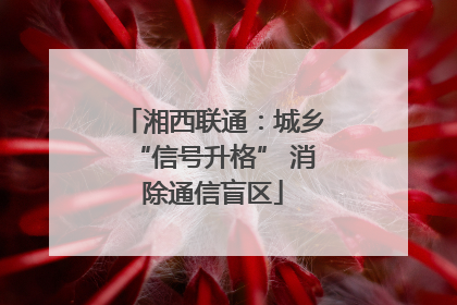 湘西联通：城乡“信号升格” 消除通信盲区