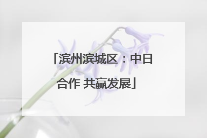滨州滨城区：中日合作 共赢发展