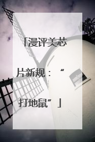 漫评美芯片新规：“打地鼠”