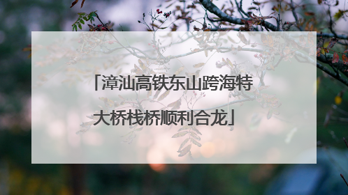 漳汕高铁东山跨海特大桥栈桥顺利合龙