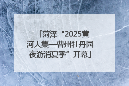 菏泽“2025黄河大集—曹州牡丹园夜游消夏季”开幕