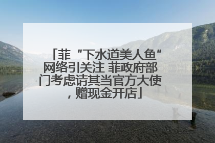 菲“下水道美人鱼”网络引关注 菲政府部门考虑请其当官方大使，赠现金开店