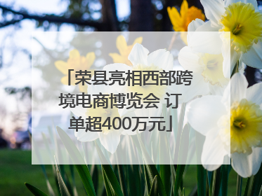 荣县亮相西部跨境电商博览会 订单超400万元