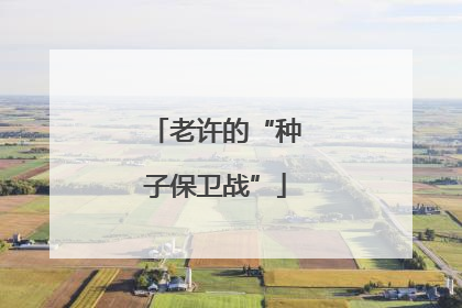 老许的“种子保卫战”