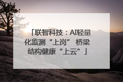联智科技：AI轻量化监测“上岗” 桥梁结构健康“上云”