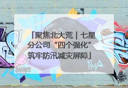 聚焦北大荒｜七星分公司“四个强化”筑牢防汛减灾屏障
