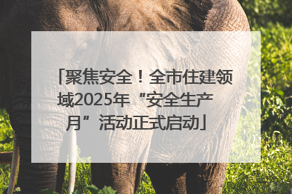 聚焦安全！全市住建领域2025年“安全生产月”活动正式启动