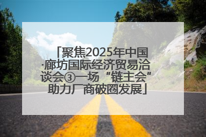 聚焦2025年中国·廊坊国际经济贸易洽谈会③一场“链主会” 助力厂商破圈发展