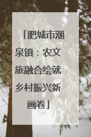 肥城市潮泉镇：农文旅融合绘就乡村振兴新画卷