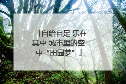 自给自足 乐在其中 城市里的空中“田园梦”