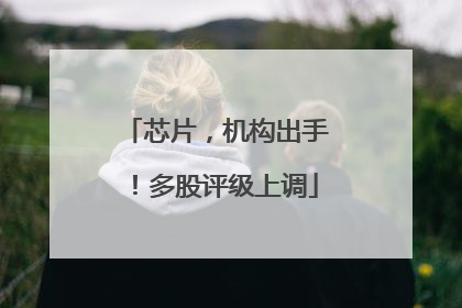 芯片，机构出手！多股评级上调