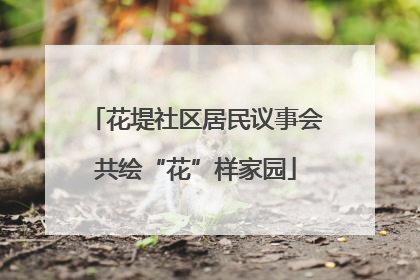 花堤社区居民议事会共绘“花”样家园