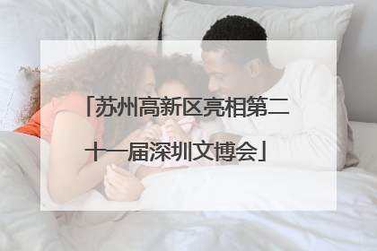 苏州高新区亮相第二十一届深圳文博会