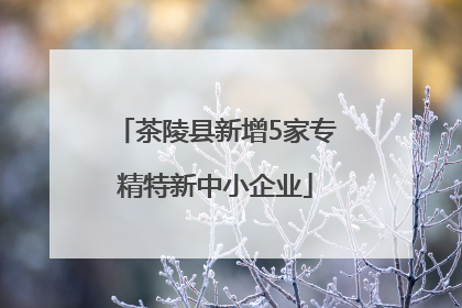 茶陵县新增5家专精特新中小企业