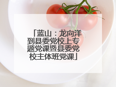 蓝山：龙向洋到县委党校上专题党课暨县委党校主体班党课