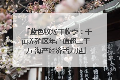 蓝色牧场丰收季：千亩养殖区年产值超三千万 海产经济活力足