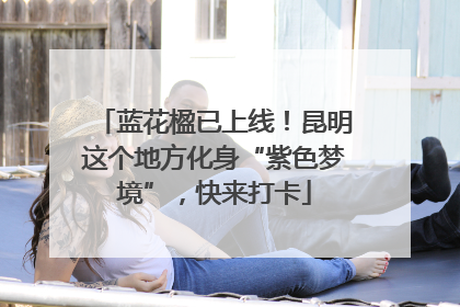蓝花楹已上线！昆明这个地方化身“紫色梦境”，快来打卡