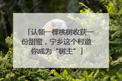 认领一棵桃树收获一份甜蜜，宁乡这个村邀你成为“树主”