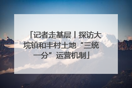 记者走基层丨探访大垸镇和丰村土地“三统一分”运营机制