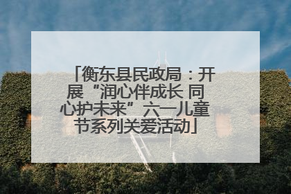 衡东县民政局：开展“润心伴成长 同心护未来”六一儿童节系列关爱活动