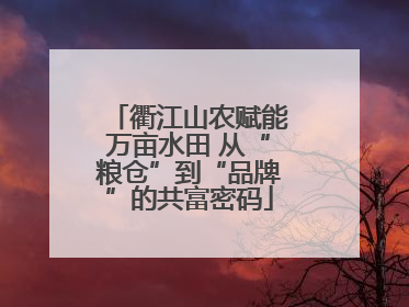 衢江山农赋能万亩水田 从“粮仓”到“品牌”的共富密码