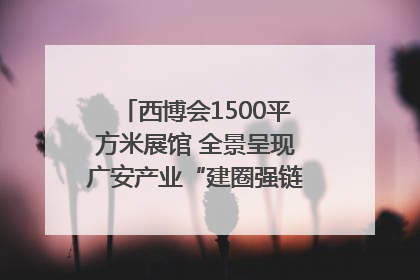 西博会1500平方米展馆 全景呈现广安产业“建圈强链”｜西博视界