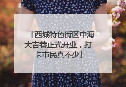 西城特色街区中海大吉巷正式开业，打卡市民真不少