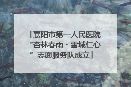 襄阳市第一人民医院“杏林春雨・雪域仁心”志愿服务队成立