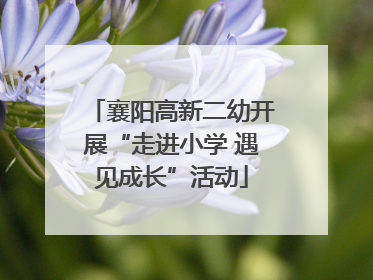 襄阳高新二幼开展“走进小学 遇见成长”活动