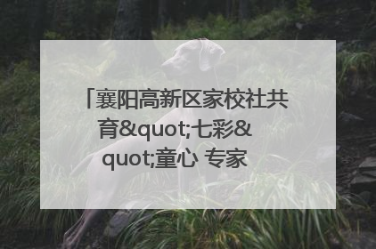 襄阳高新区家校社共育"七彩"童心 专家团支招智慧育儿
