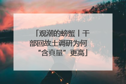 观潮的螃蟹丨干部回故土调研为何“含真量”更高