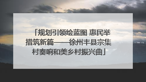 规划引领绘蓝图 惠民举措筑新篇——徐州丰县宗集村奏响和美乡村振兴曲