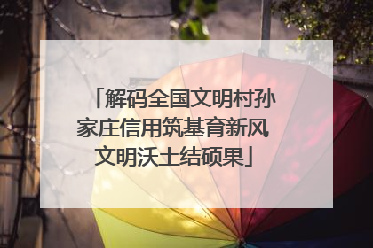 解码全国文明村孙家庄信用筑基育新风文明沃土结硕果