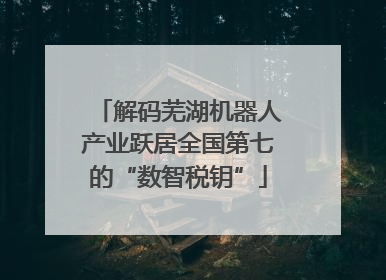 解码芜湖机器人产业跃居全国第七的“数智税钥”