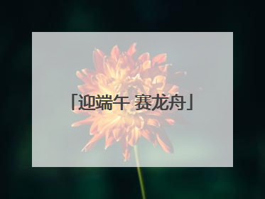 迎端午 赛龙舟
