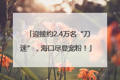 迎接约2.4万名“刀迷”，海口尽显宠粉！