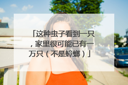 这种虫子看到一只，家里很可能已有一万只（不是蟑螂）