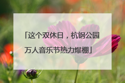 这个双休日，杭钢公园万人音乐节热力爆棚