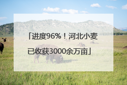 进度96%！河北小麦已收获3000余万亩