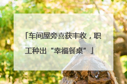 车间屋旁喜获丰收，职工种出“幸福餐桌”