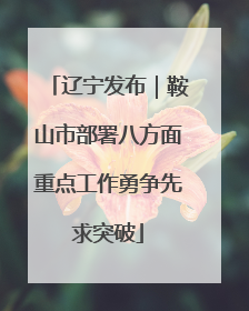 辽宁发布｜鞍山市部署八方面重点工作勇争先求突破