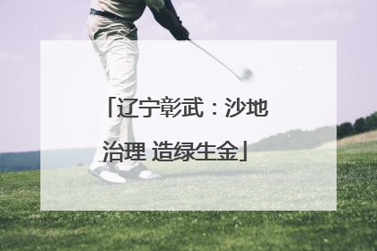 辽宁彰武：沙地治理 造绿生金
