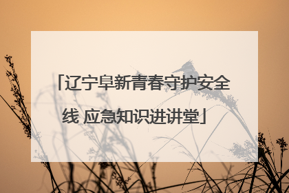 辽宁阜新青春守护安全线 应急知识进讲堂