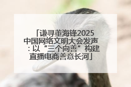谦寻董海锋2025中国网络文明大会发声：以“三个向善”构建直播电商善意长河