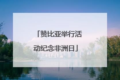 赞比亚举行活动纪念非洲日