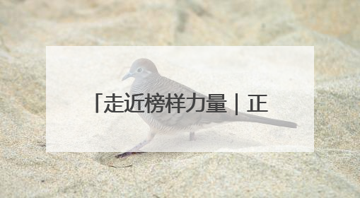 走近榜样力量｜正定特教学校：让“特殊学生”不再特殊