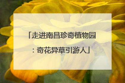走进南昌珍奇植物园：奇花异草引游人