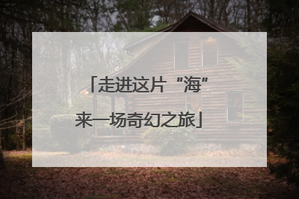 走进这片“海”来一场奇幻之旅