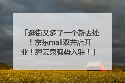 逛街又多了一个新去处！京东mall双井店开业！碧云泉强势入驻！
