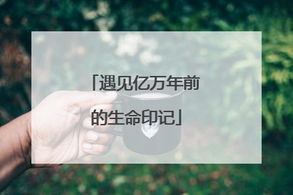 遇见亿万年前的生命印记